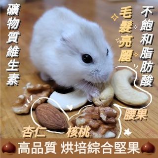 🌰天然無調味寵物堅果🌰高品質綜合堅果