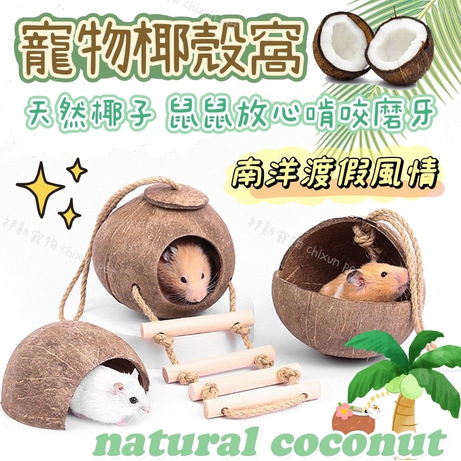 【祁勛】椰殼躲避屋