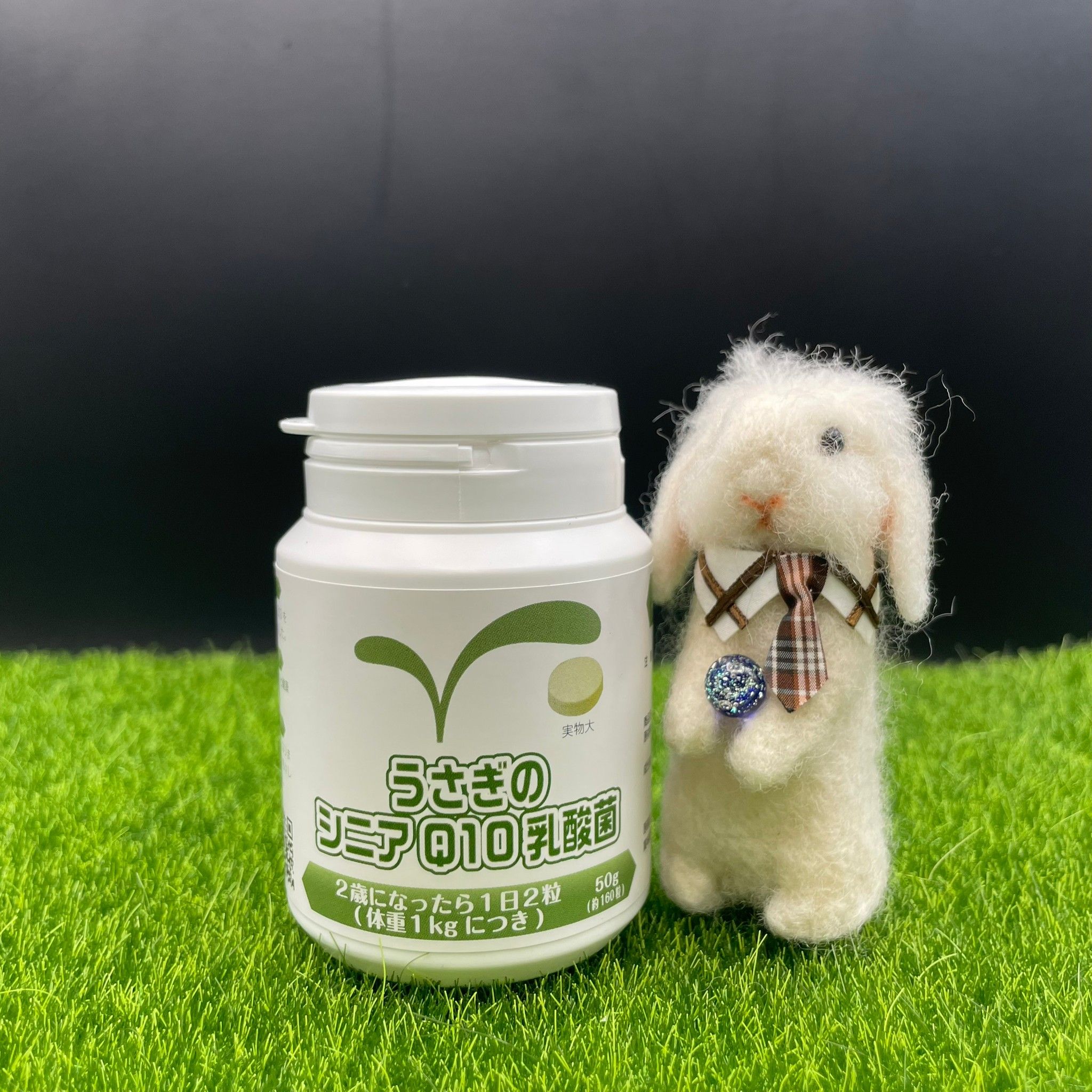 現貨  日本兔尾 Q10乳酸菌 50g