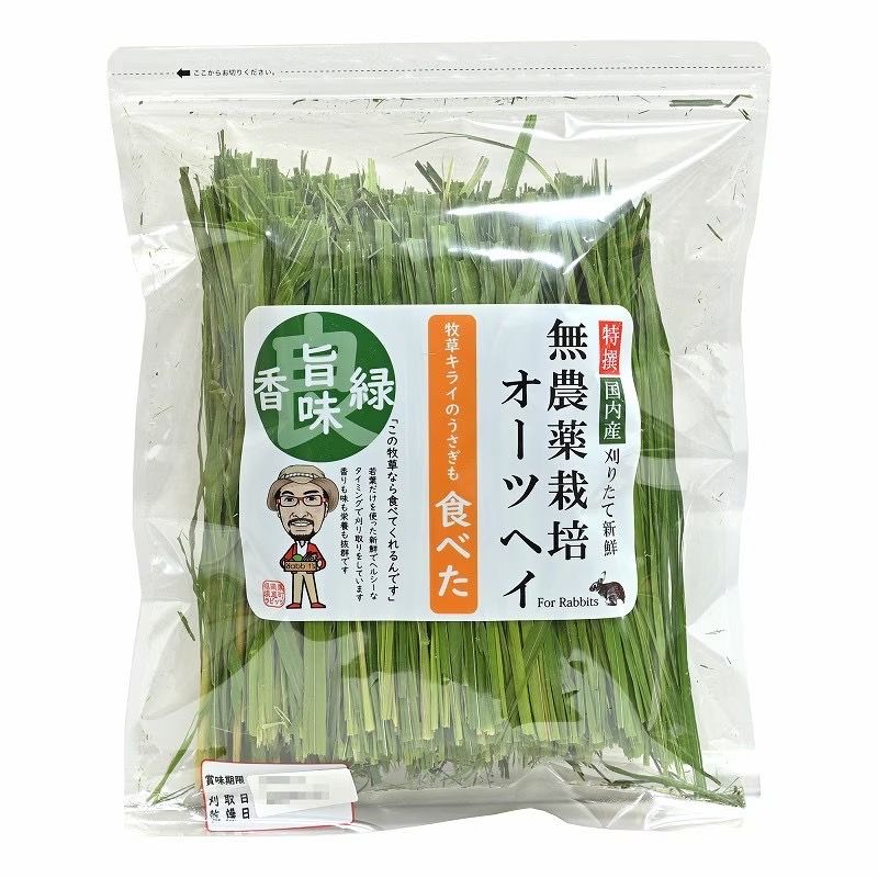 日本產 燕麥草 無農藥栽培