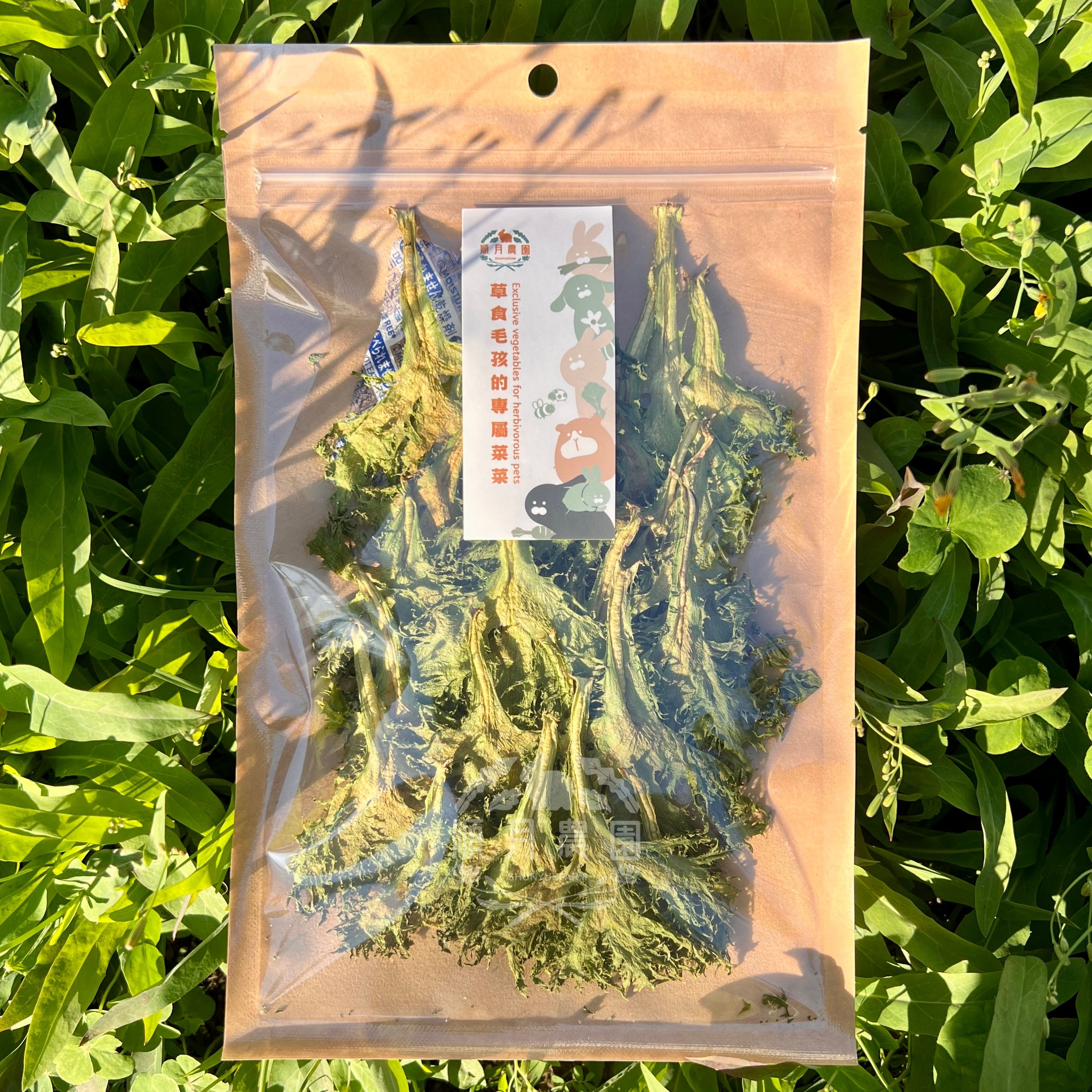 順月冬季有機菜葉