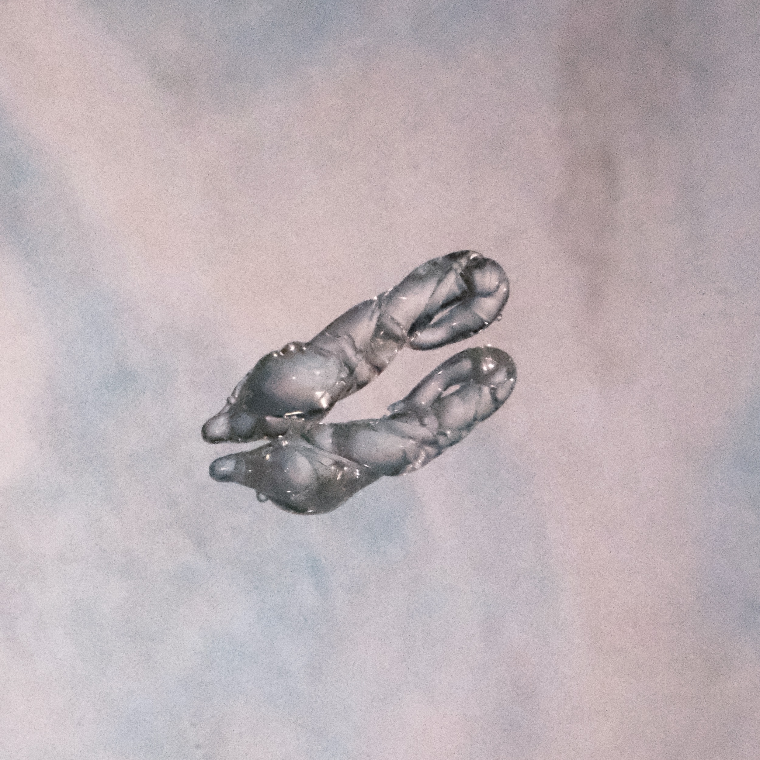 窯烤神奇海螺 （透明）自製琉璃