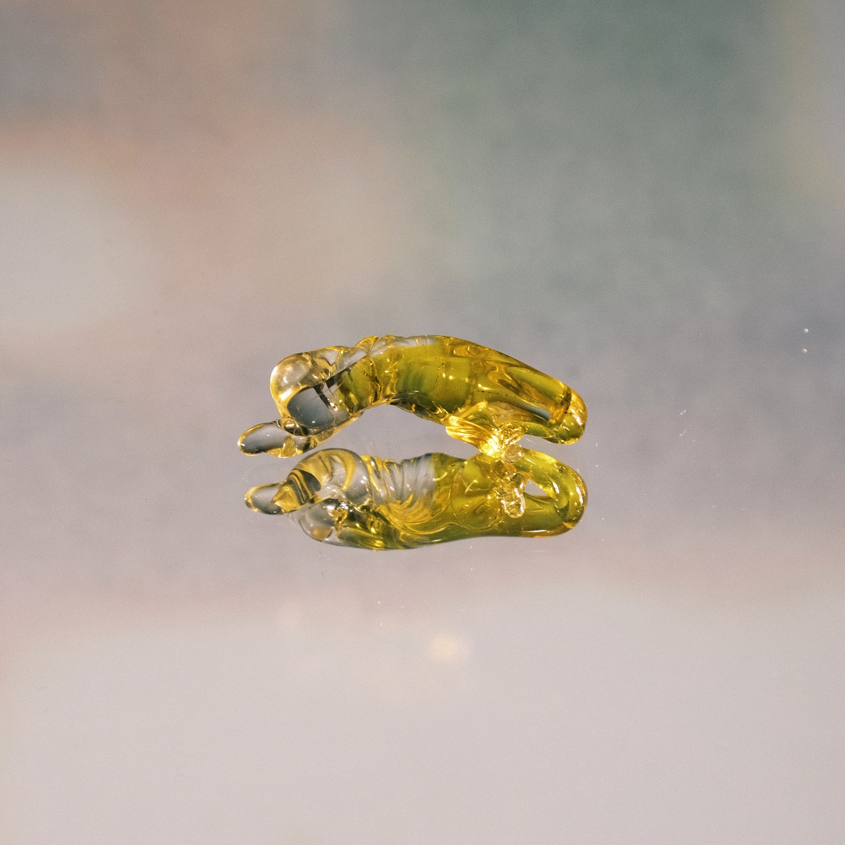 窯烤神奇海螺 （透黃）自製琉璃