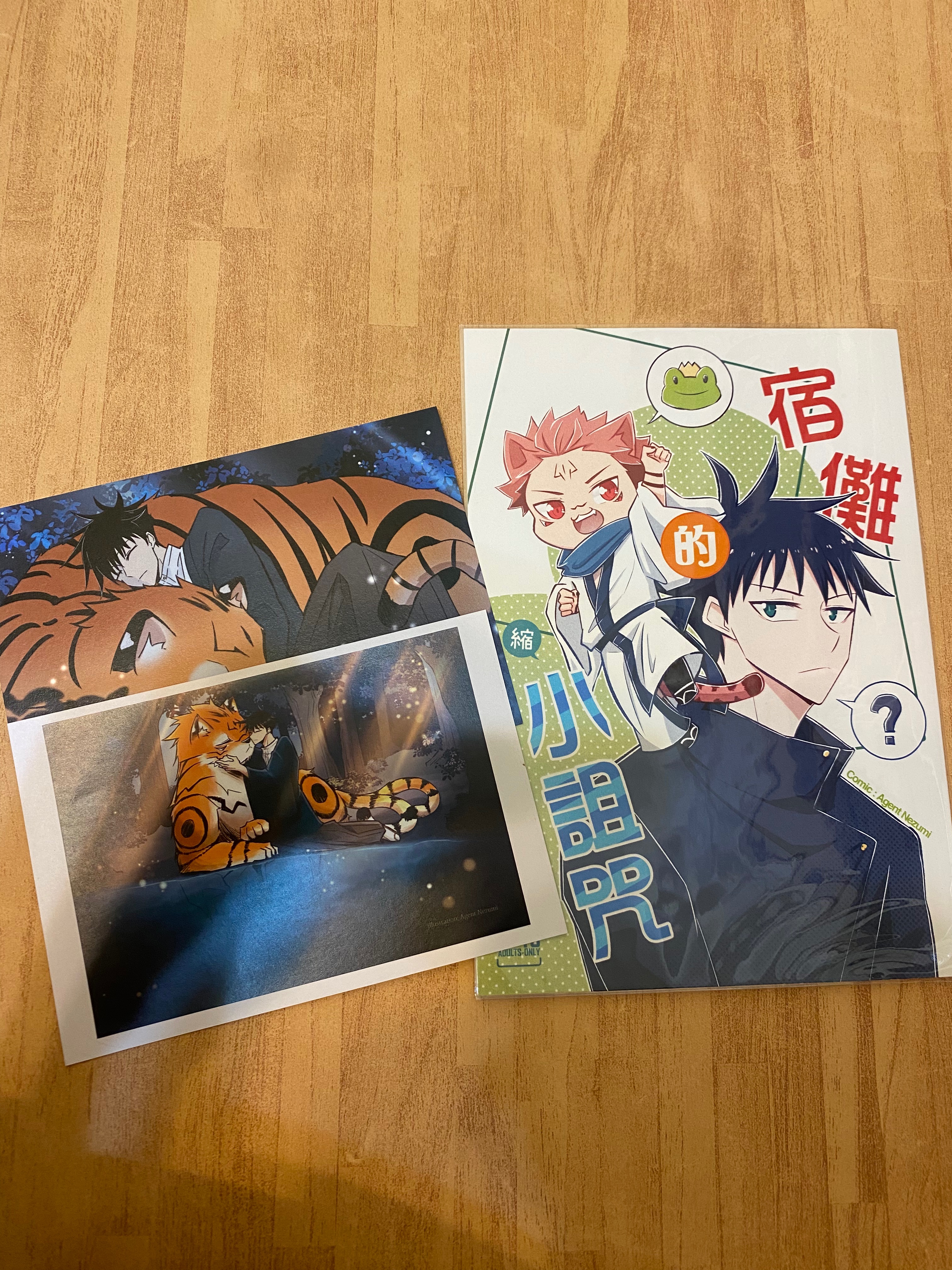 【咒術】宿儺的縮小詛咒