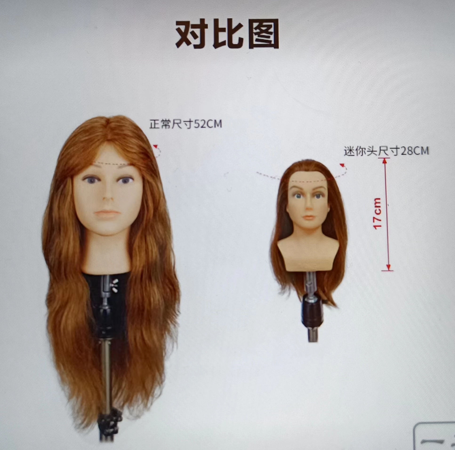 迷你真毛人頭 限量商品