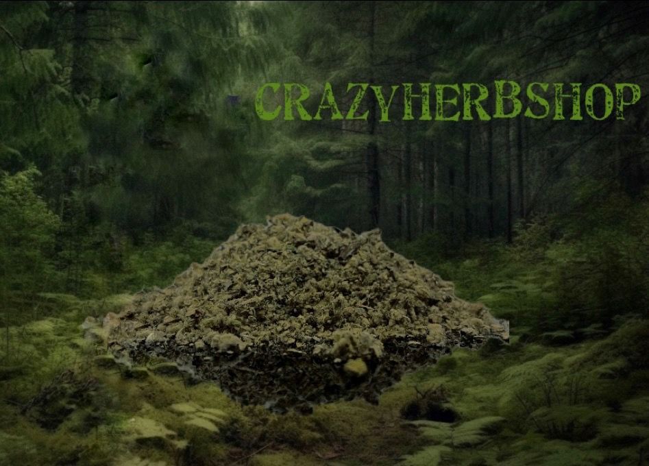 shaman 薩滿 chill花草