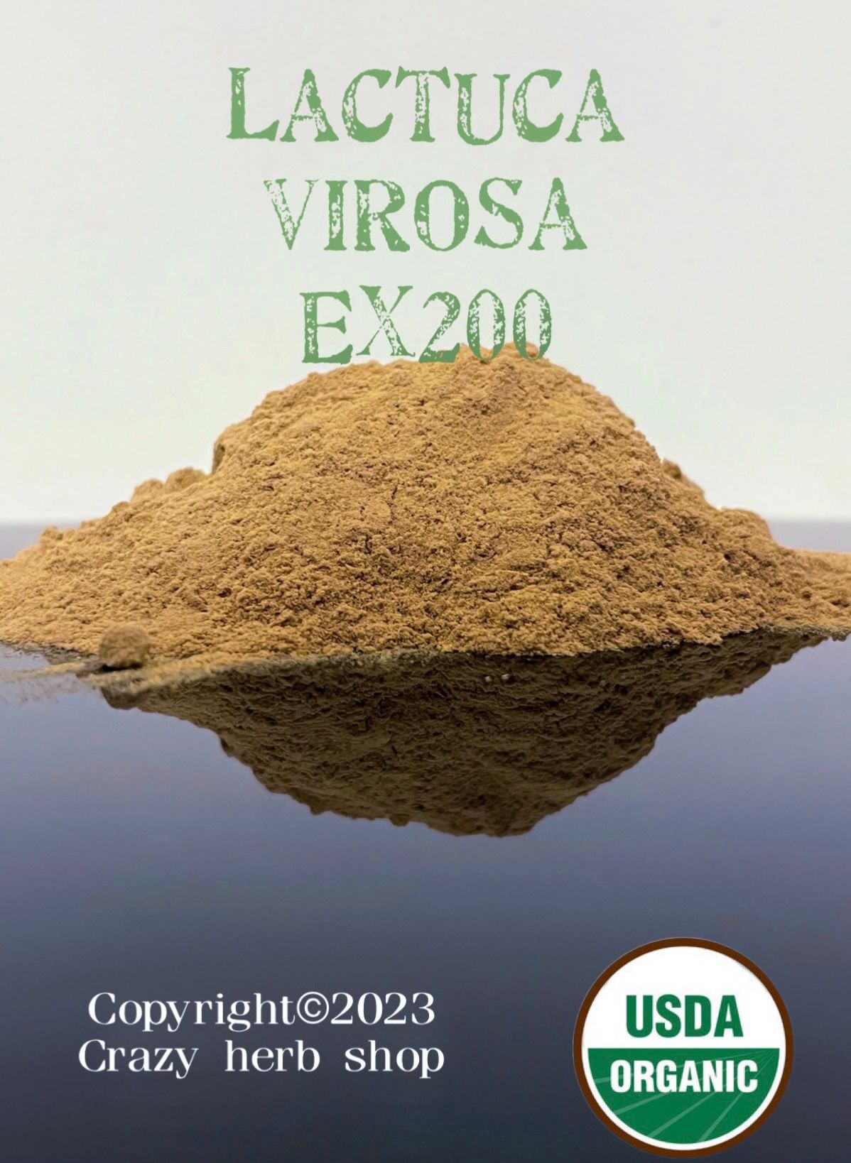 百倍濃縮商品 🍏毒萵苣 Lactuca Virosa 百倍濃縮 野萵苣 刺毛萵苣