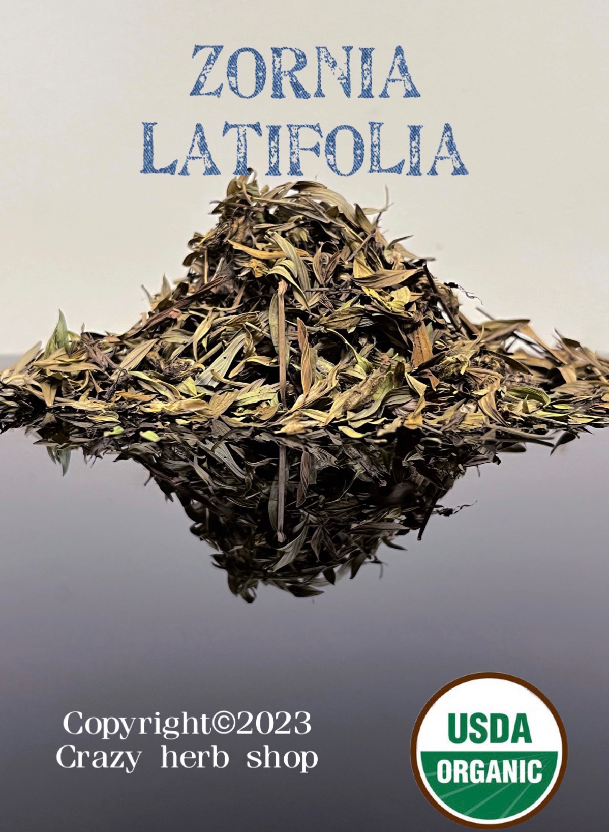 🧩闊葉丁葵 薩滿 推薦