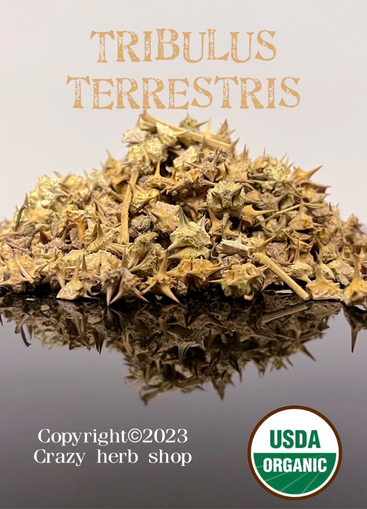 ✴️  Tribulus 蒺藜 10g Tribulus terrestris