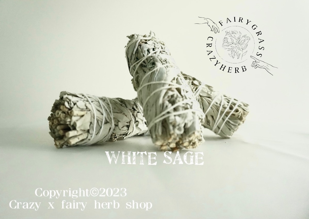 瘋植療癒所 ❕ White 純淨白鼠尾草 薩滿艾草  草仗 儀式 薰香 淨化