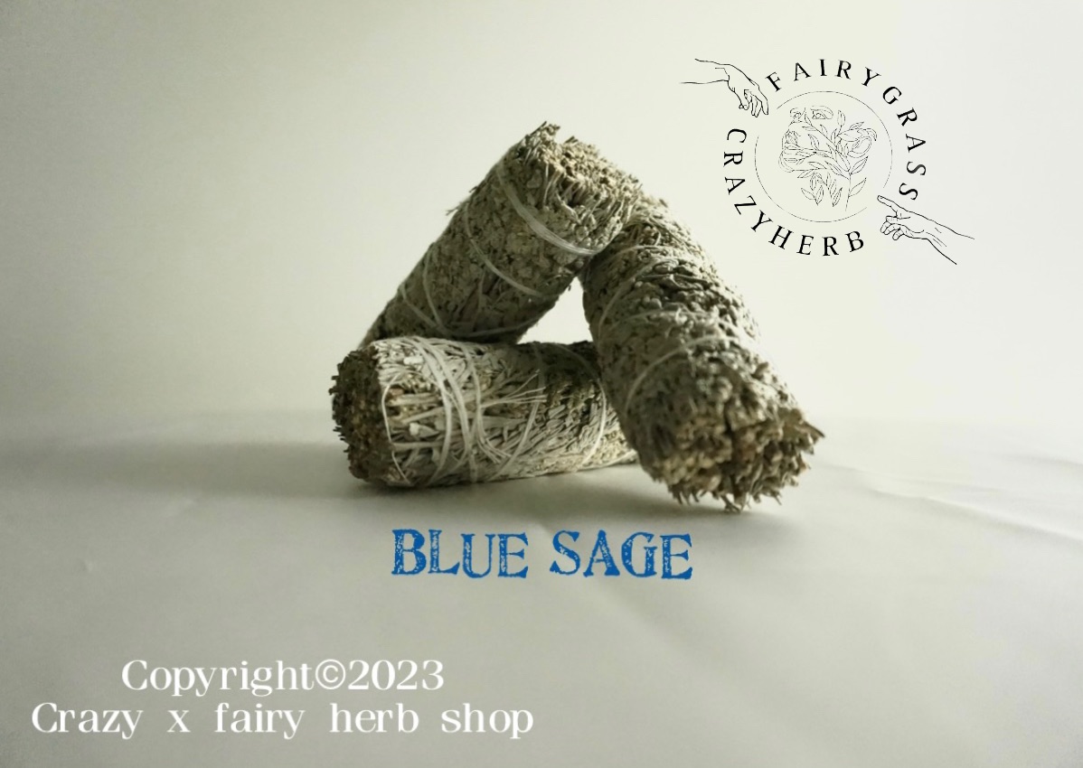💙  Blue 大地藍鼠尾草 藍鼠尾草  草仗 儀式 薰香 淨化 招財