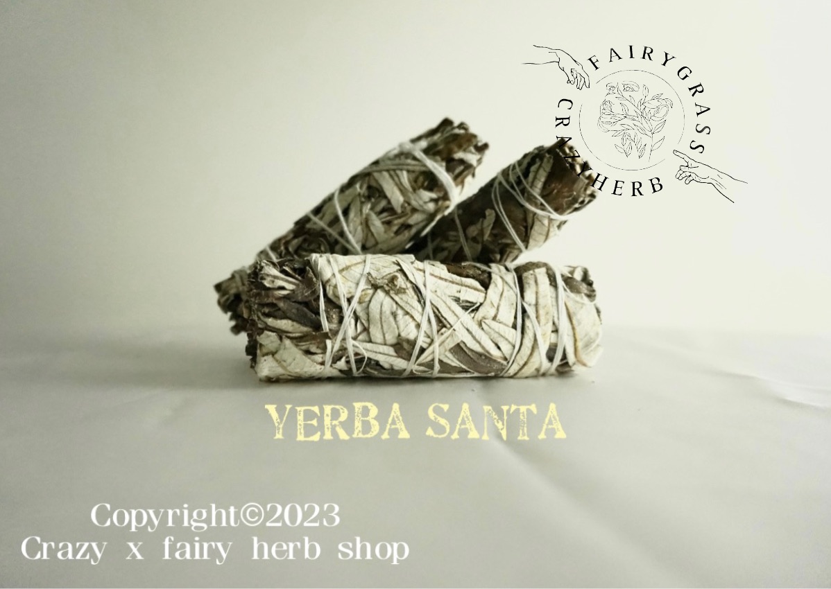 💛  Yerba Santa 聖巴拉草仗 北美聖草  草仗 儀式 薰香 淨化 神聖