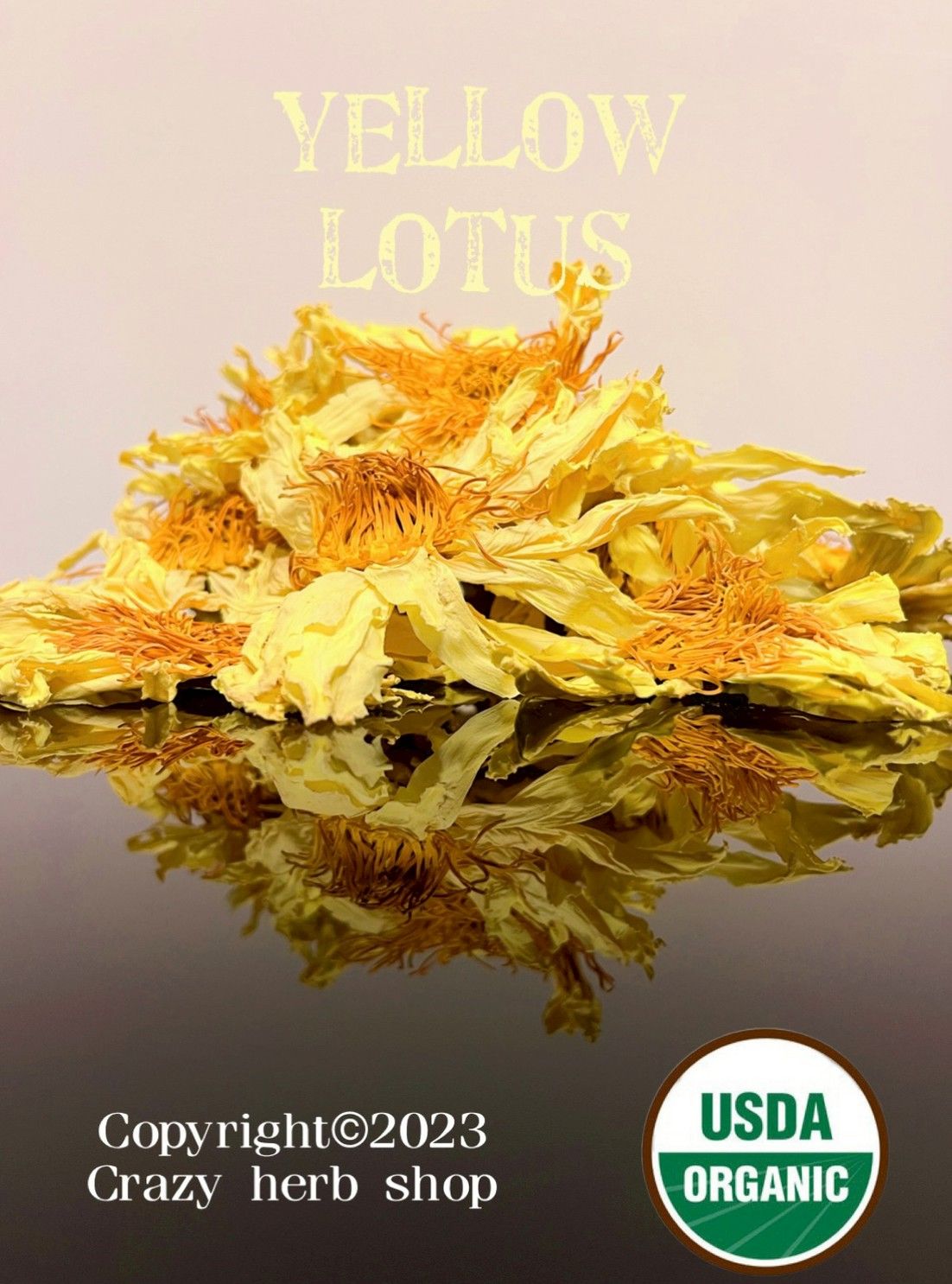 ☀️瘋植療癒所 Lotus 九品蓮 香水蓮 10g