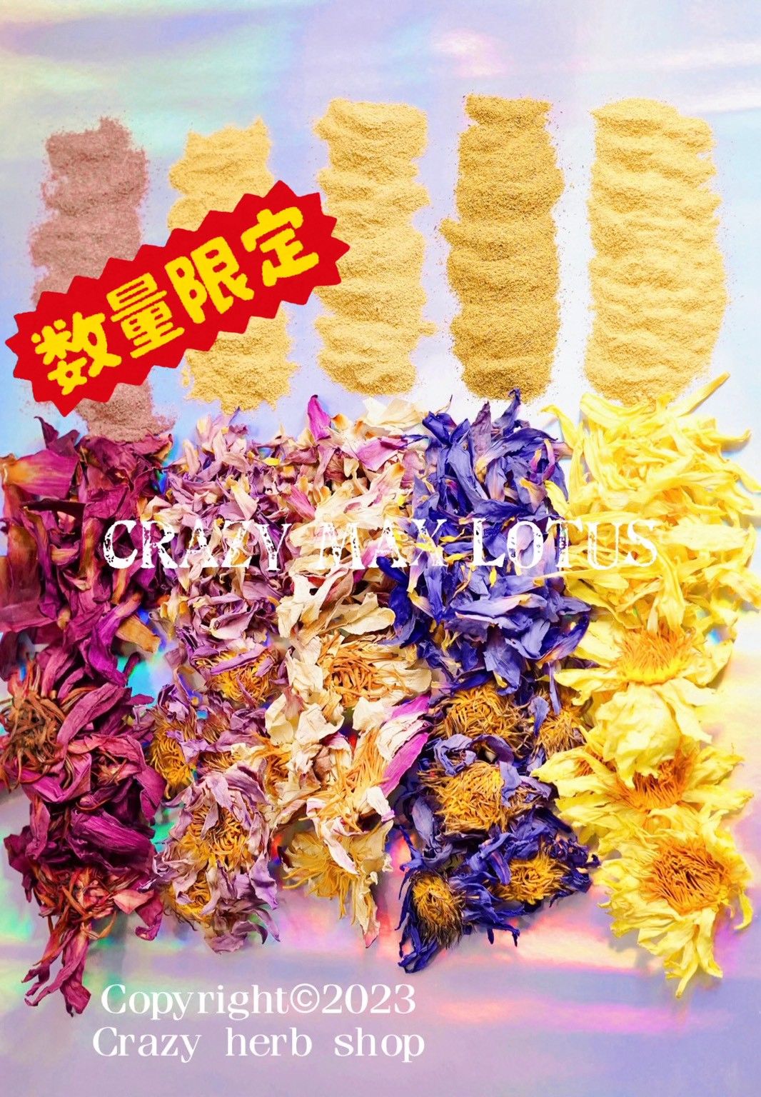 瘋植療癒所-🪷（超植蓮花組合）蓮花組合 全蓮花項禮盒