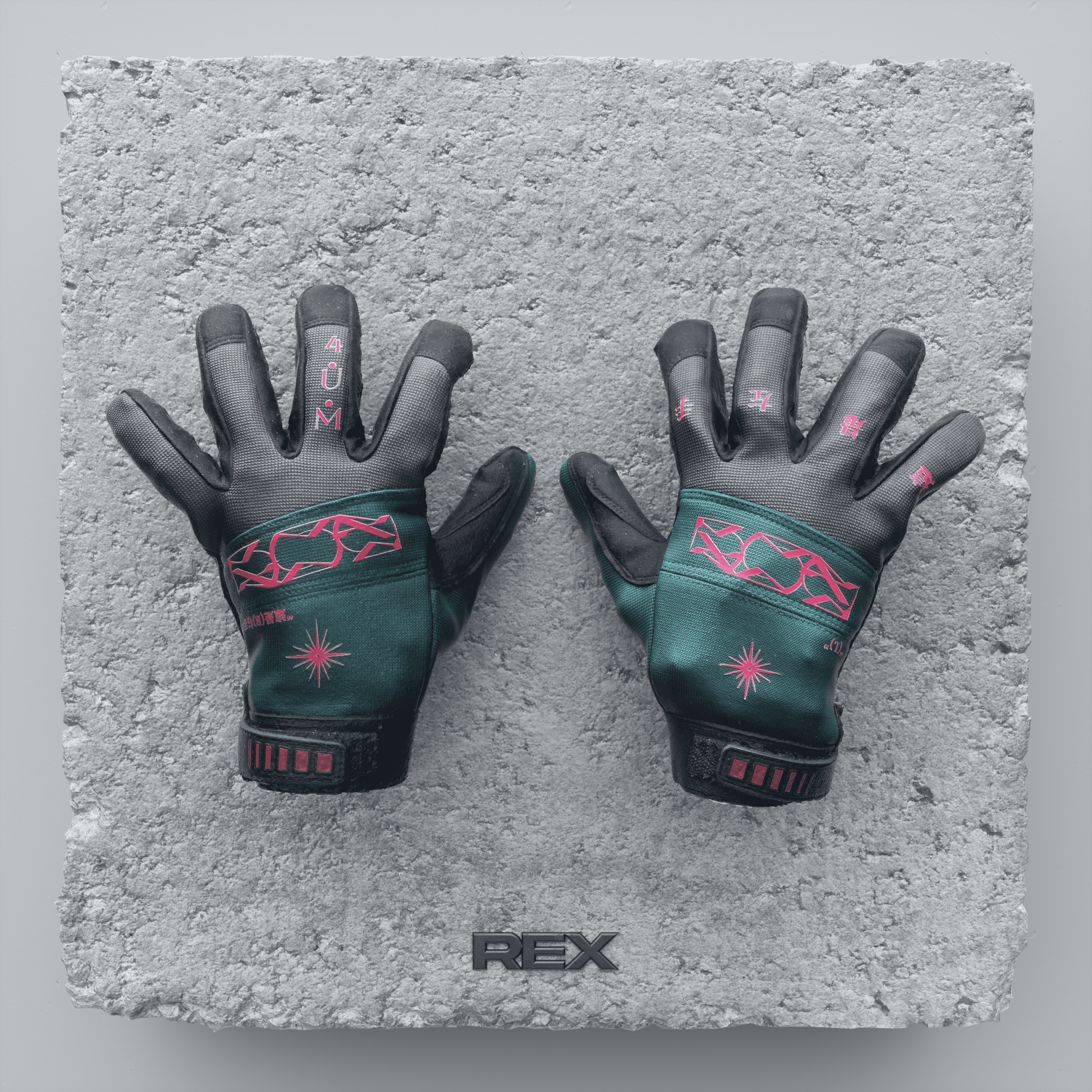 ＂L2R＂Functional Gloves （for V.I.P）