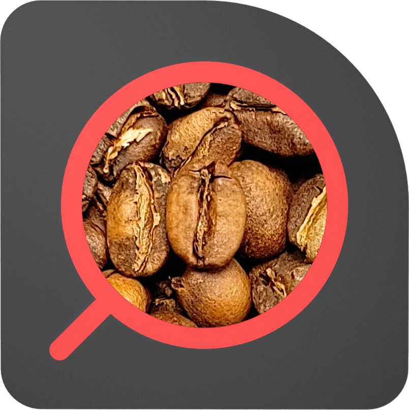 直火½磅 日曬處理 耶加雪菲 夏蘭 Ethiopia Yirgacheffe Shalaye Natural