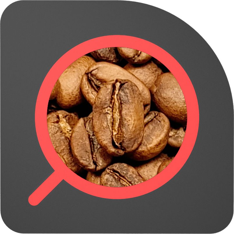 直火½磅 日曬處理 耶加雪菲 孔加 Ethiopia Yirgacheffe Konga Natural