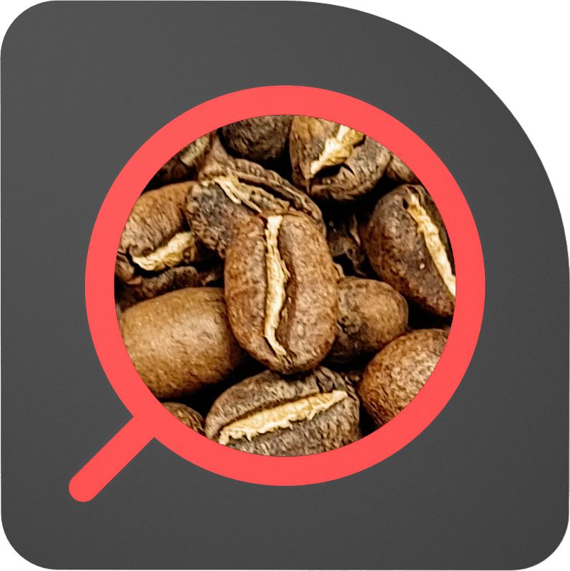 直火½磅 水洗處理 西達馬 黑騎村 Ethiopia Sidamo Sagara Hechi Washed