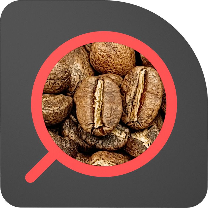 直火½磅 水洗處理 肯亞 瑟克瓦 Kenya Thirikwa AB Washed