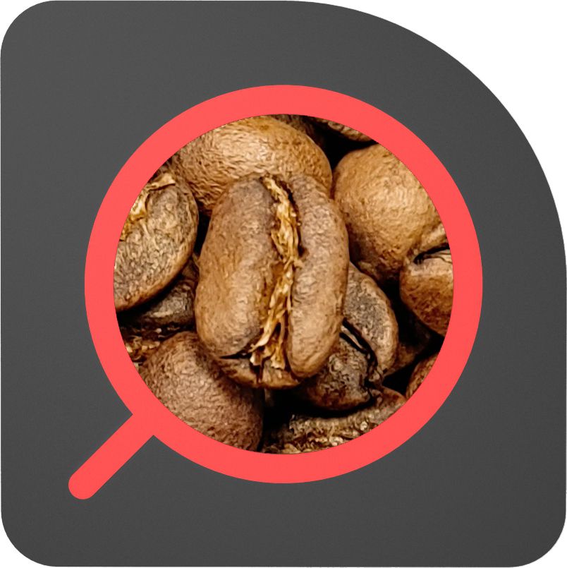 直火½磅 水洗處理 芭芭菈 藝伎 Guatemala Santa Barbara Gesha Washed