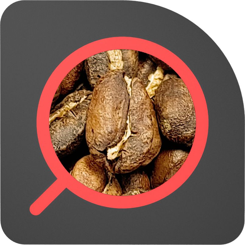 直火½磅 水洗處理 谷吉 格蕾娜 藝伎 Guji Gelana Geisha Washed