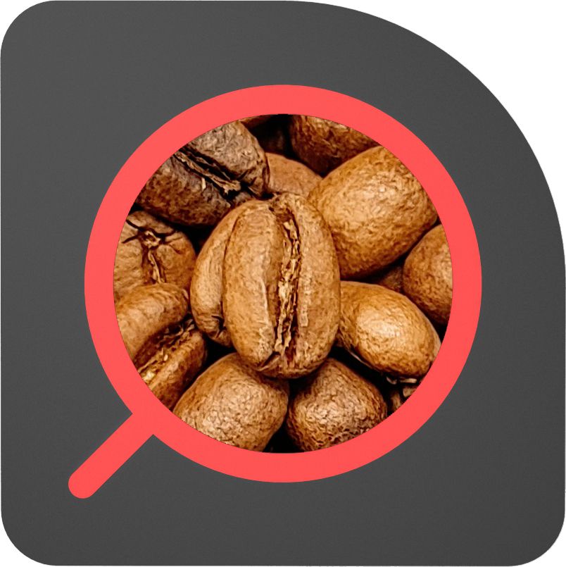 直火½磅 日曬處理 西達馬 朵望丘 Ethiopia Sidama Duwancho Natural