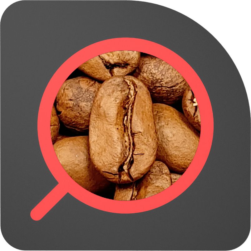 直火½磅 日曬處理 瓜地馬拉 碧雅莊園 象豆 Guatemala La Bella Pacamara Natural