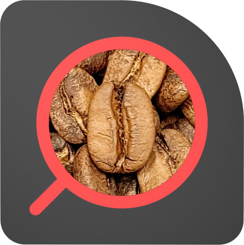 直火½磅 蜜處理 宏都拉斯 創世莊園 Honduras Finca Genesis Honey