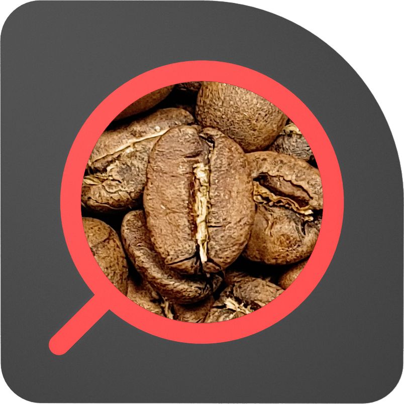 直火½磅 水洗處理 肯亞 蓋達 Kenya Kaganda AA Washed