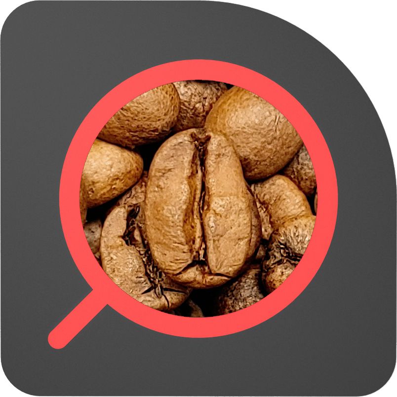 直火½磅 日曬處理 墨西哥 伊佐藍 Mexico Ixhuatlan del Café Natural