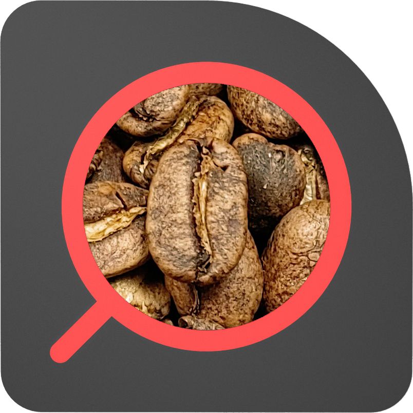 直火½磅 濕剝水洗 蘇門答臘 藍眼曼特寧 Sumatra Lake Toba Wet-Hulled