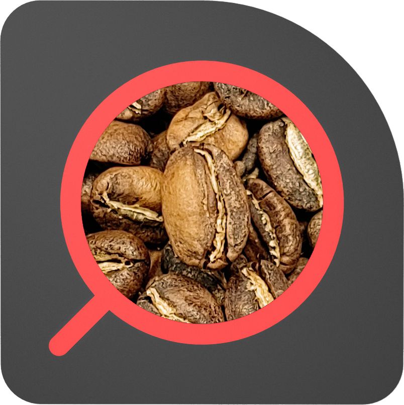 直火½磅 水洗處理 耶加雪菲 潔蒂普 Yirgacheffe Gedeb Washed