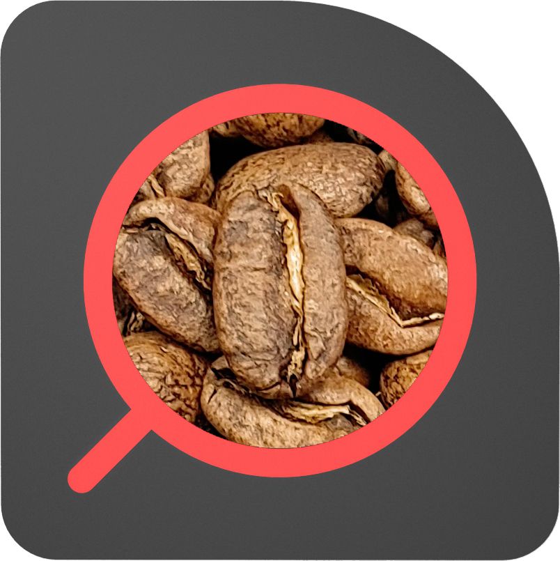 直火½磅 厭氧水洗 哥倫比亞 守護者莊園 Colombia La Reserva Anaerobic Washed