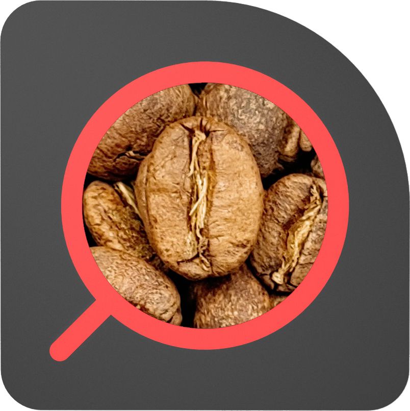 直火½磅 蜜桃蜜處理 哥倫比亞 露易莎莊園 Colombia Luisa Peach Fruit Honey