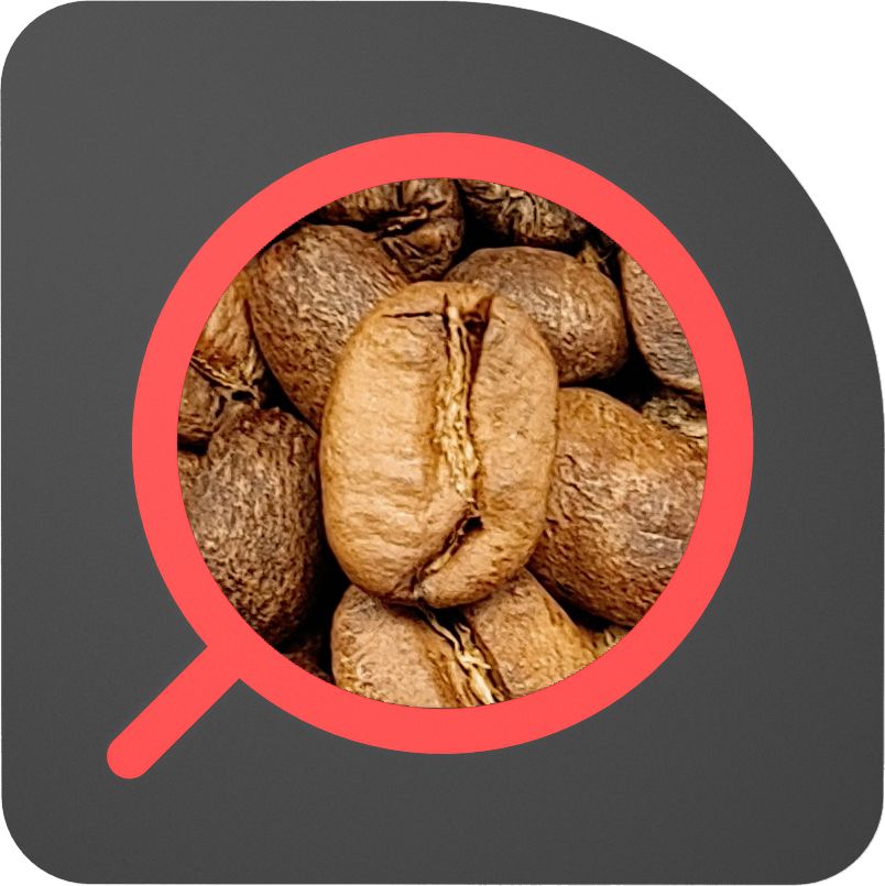 直火½磅 草莓蜜處理 哥倫比亞 露易莎莊園 Colombia Luisa Strawberry Fruit Honey