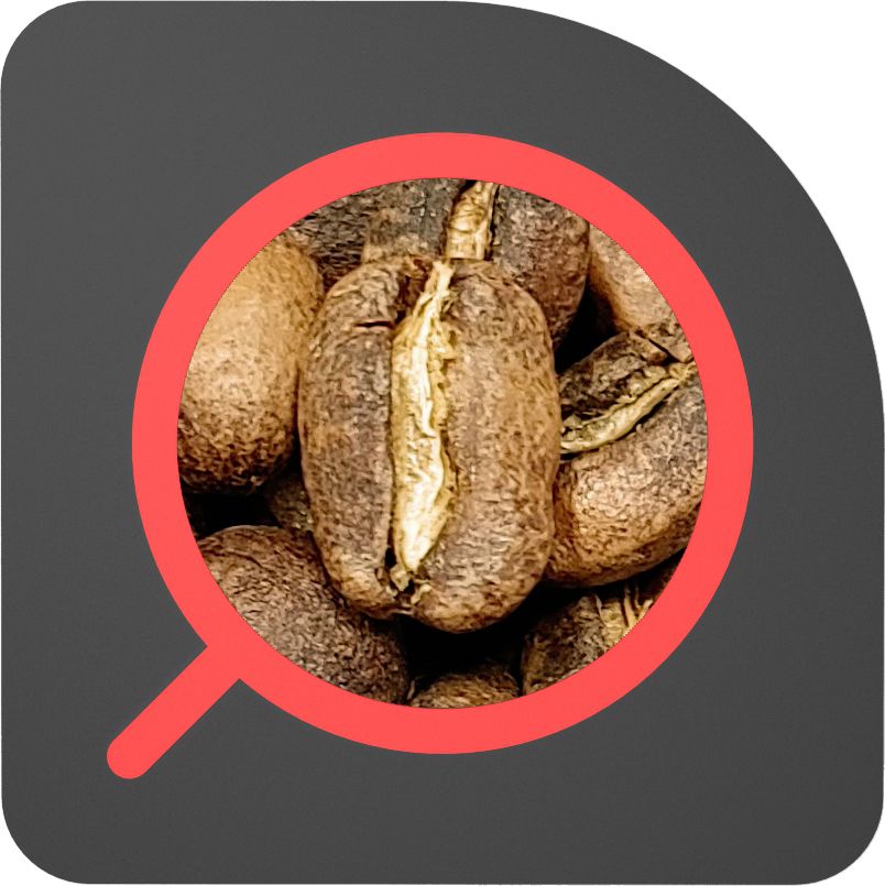 直火½磅 水洗處理 谷吉 夏奇索 Ethiopia Guji Shakiso Washed