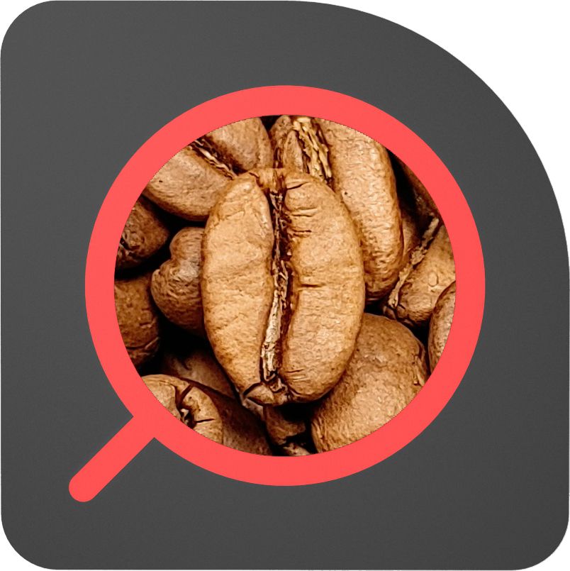 直火½磅 日曬處理 宏都拉斯 貝拉米諾 Honduras Belarmino Natural