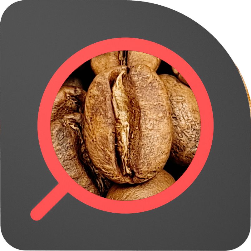直火½磅 日曬處理 哥斯大黎加 寶藏莊園 Costa Rica La Guaca Natural