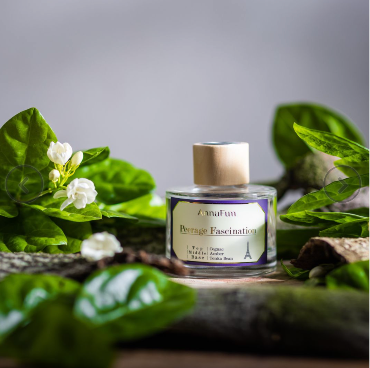 今日享受奢華優雅的生活品味