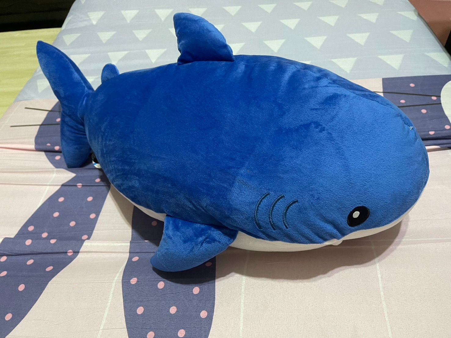 日本購入鯊魚娃娃