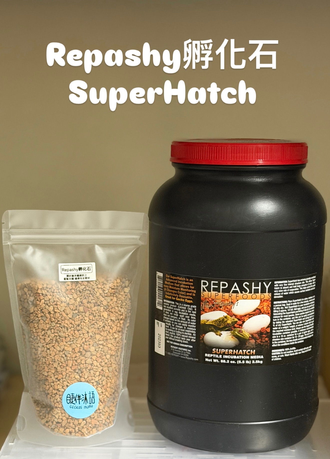 【睫伴沐語】超級孵化石300克 爬蟲 守宮 烏龜 蜥蜴 爬蟲專用，睫角守宮、蓋勾亞守宮、魔物守宮、巨人守宮、瘤尾孵化石