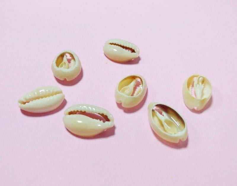 貝殼（小） 服飾材料 原住民材料DIY