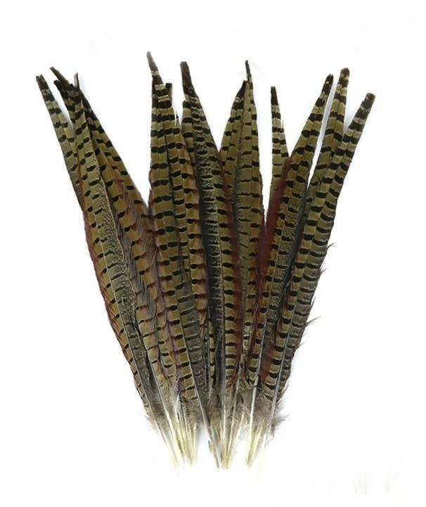 雉雞毛 羽毛 雉雞毛 山雞毛 原色羽毛