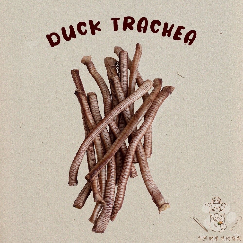 呱呱鴨氣管🐾初見寵物100%手工零食 呱呱鴨氣管 毛孩 寵物零食 狗零食 手工零食 鴨肉 鴨氣管  低溫乾燥