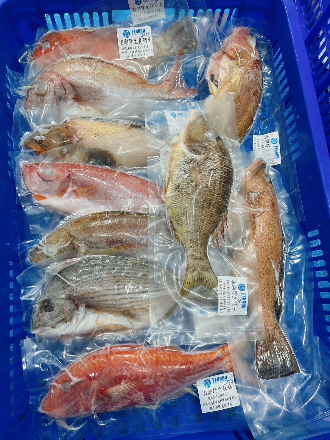 澎湖野生時令鮮海魚組合（魚種/隻數不一定一樣）