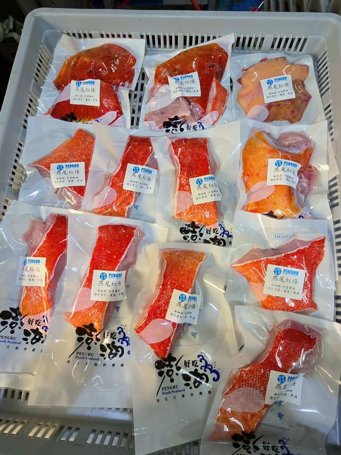 澎湖正紅條石斑