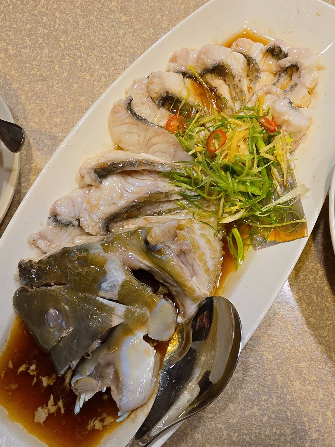 澎湖野生綠石老魚