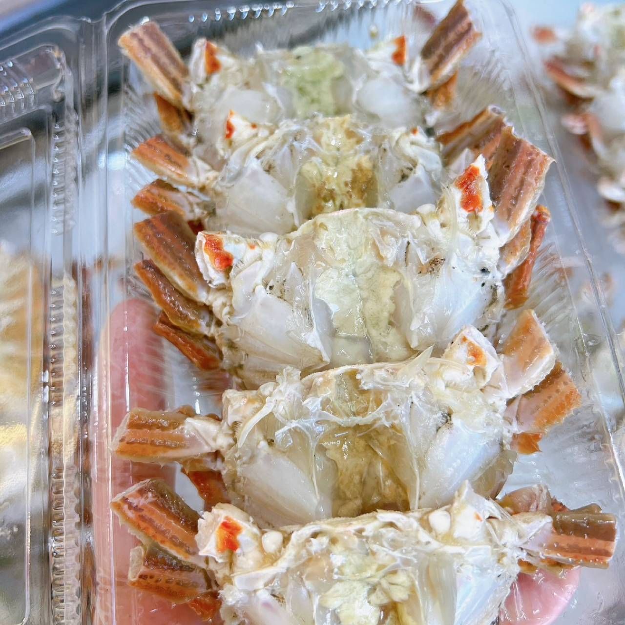 澎湖扁蟹身