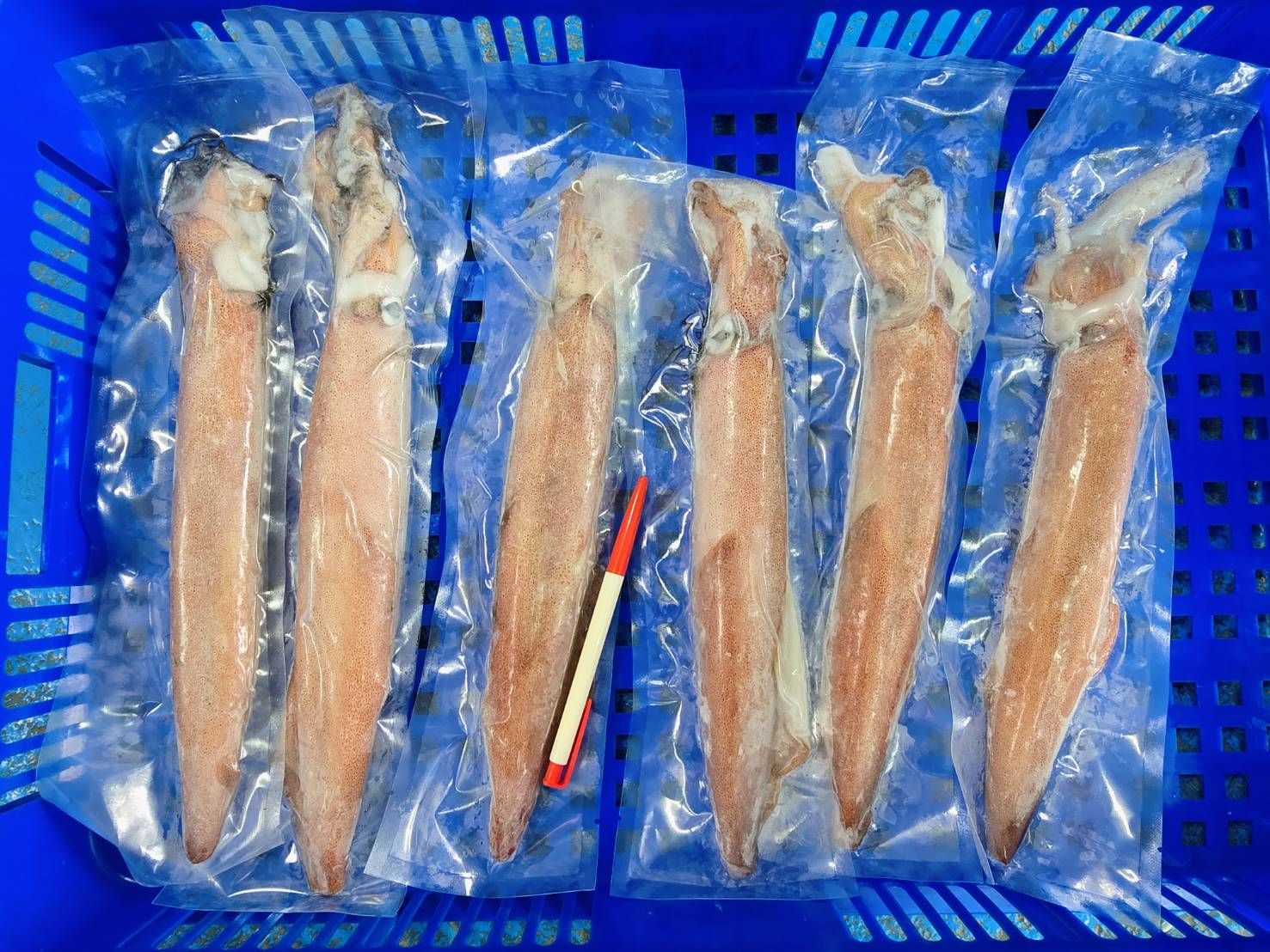 澎湖兩文卷