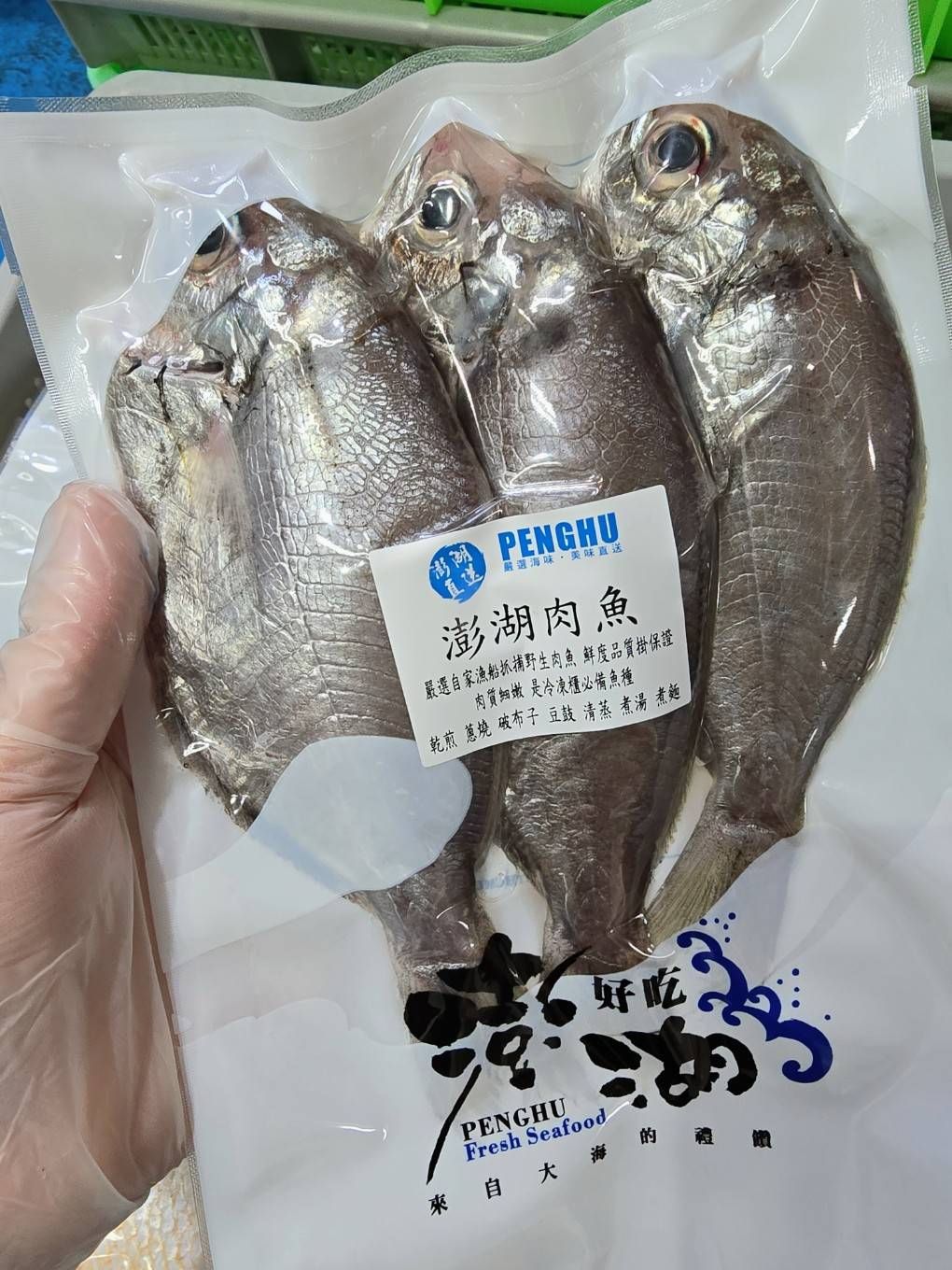 澎湖白肉魚